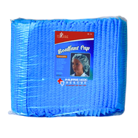 BOUFFANT CAP 100's