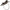 PETZL REVERSO 4 BELAY/RAPPEL DEVICE