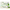 ALOEVERA  MOISTURIZING BODY CREAM, NATUREPLEX