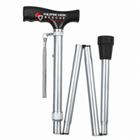 CANE FOLDABLE